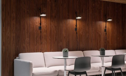 Sosna bezsęczna Radiata CAR3