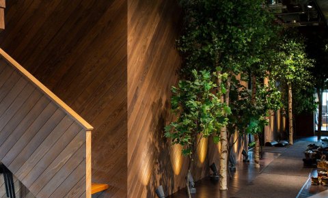 Deska z termo jesionu Thermory profil C6