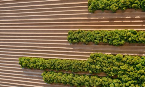 Profil VIRE osika termo